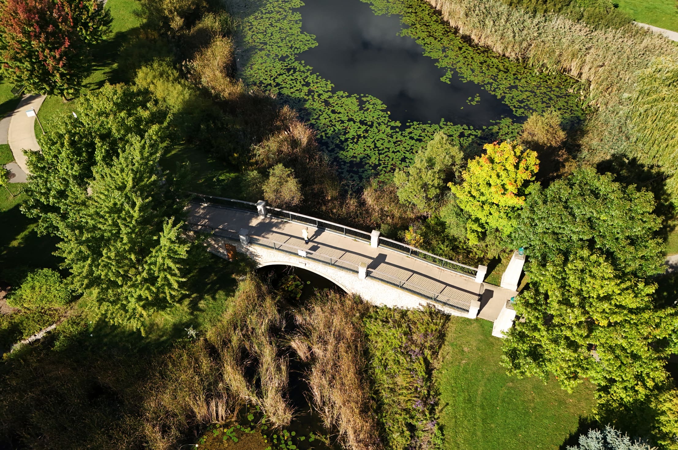 Aerial view of a bridge in a park